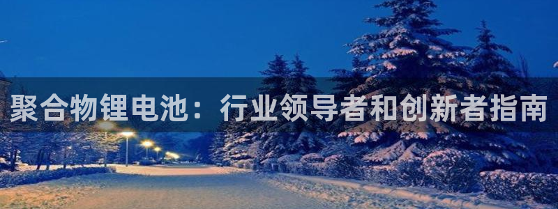 尊龙网址是选访问zd207