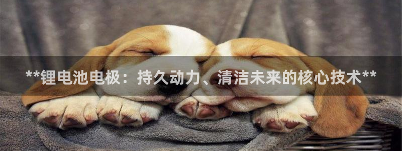 尊龙凯时家居是品牌吗