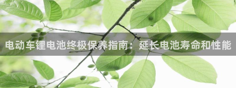 最新凯时官网网址：电动车锂电池终极保养指南：延长电池寿命和性能