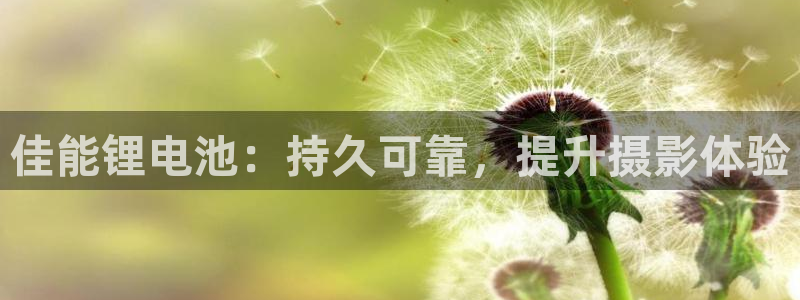 尊龙t600怎么样：佳能锂电池：持久可靠，提升摄影体验