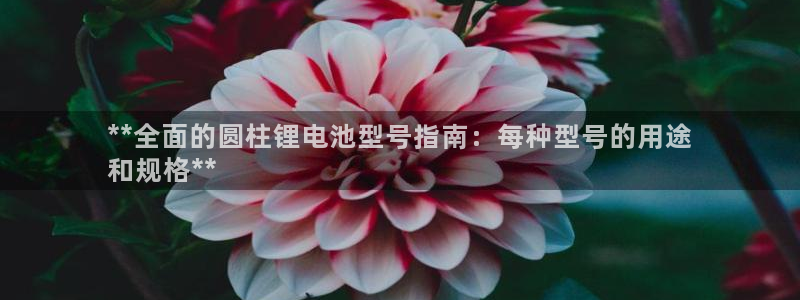 尊龙凯时登入首页：**全面的圆柱锂电池型号指南：每种型号的用途
和规格**