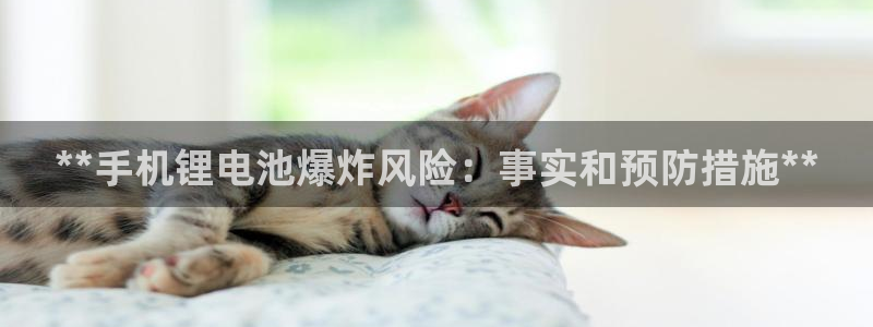 尊龙凯时是正规平台吗：**手机锂电池爆炸风险：事实和预防措施**
