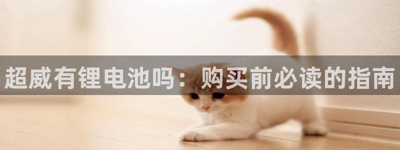 尊龙人生就是博菲律宾台子