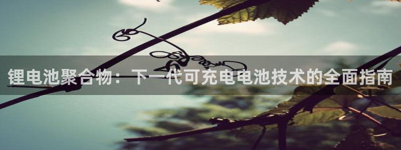 尊龙官方