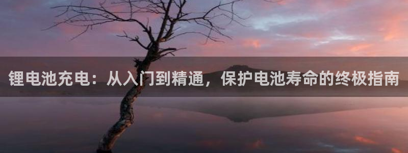 尊龙d88官网去来就送38：锂电池充电：从入门到精通，保护电池寿命的终极指南