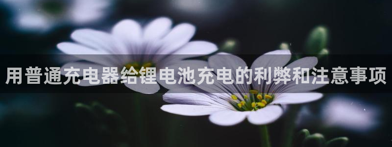 尊龙手机官方客户端下载安装：用普通充电器给锂电池充电的利弊和注意事项