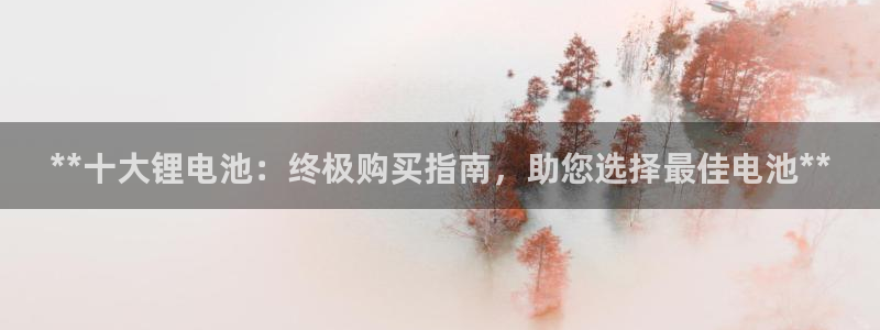 凯时k66官方发布：**十大锂电池：终极购买指南，助您选择最佳电池**