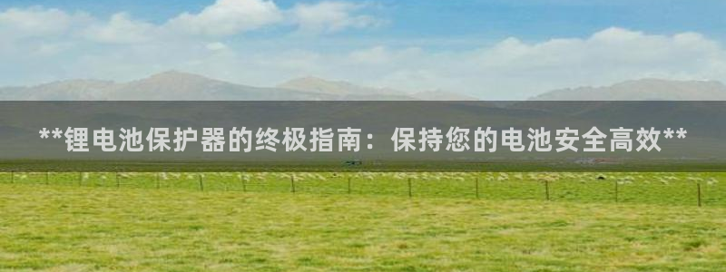 尊龙凯时不给提款：**锂电池保护器的终极指南：保持您的电池安全高效**
