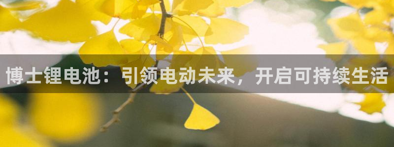 尊龙人生就是博登陆：博士锂电池：引领电动未来，开启可持续生活