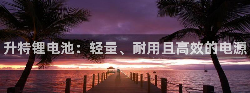 尊龙z6平台：升特锂电池：轻量、耐用且高效的电源