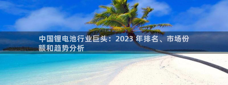 凯时国际app登录：中国锂电池行业巨头：2023 年排名、市场份
额和趋势分析