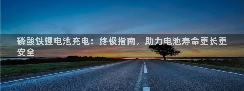 尊龙凯时存款多久到账：磷酸铁锂电池充电：终极指南，助力电池寿命更长更
安全