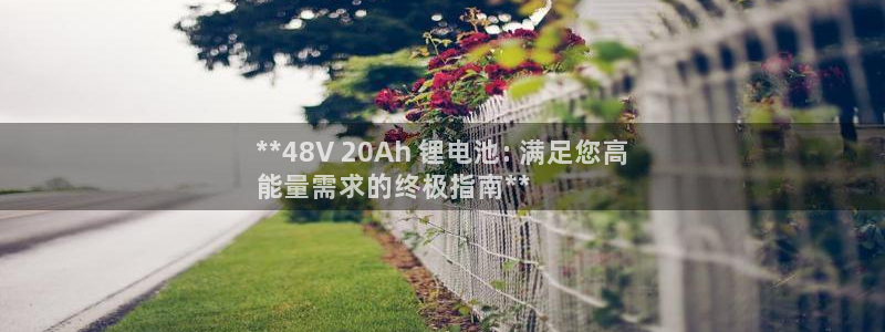 尊龙d88ag旗舰厅：**48V 20Ah 锂电池: 满足您高
能量需求的终极指南**