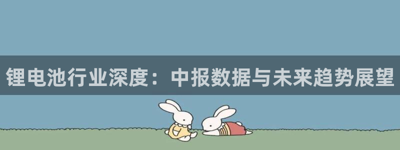 尊龙多少岁：锂电池行业深度：中报数据与未来趋势展望