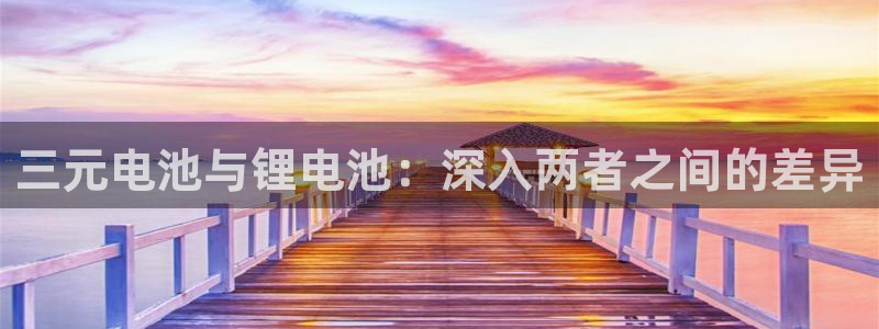 尊龙凯时人生就是搏官方网站：三元电池与锂电池：深入两者之间的差异