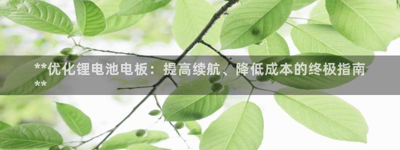 尊龙凯时出款：**优化锂电池电板：提高续航、降低成本的终极指南
**