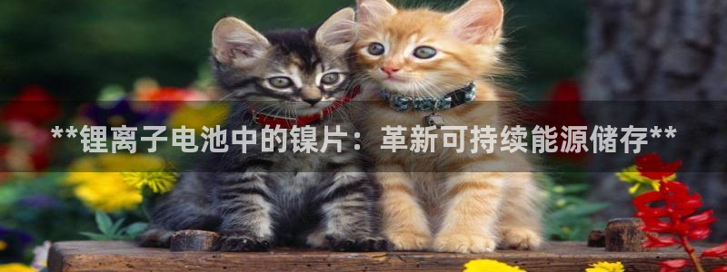 尊龙d88会员：**锂离子电池中的镍片：革新可持续能源储存**