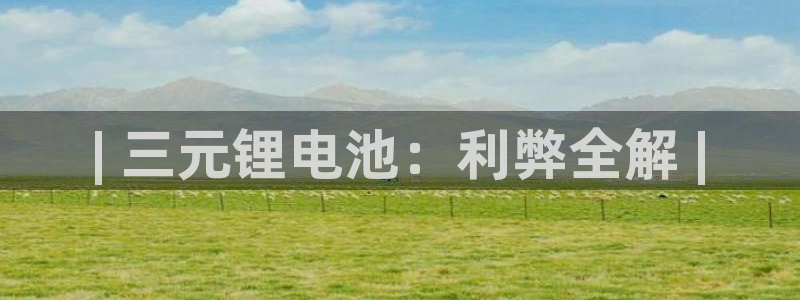 百度一下尊龙：| 三元锂电池：利弊全解 |