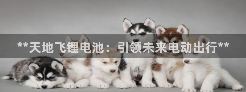 尊龙人生就是博