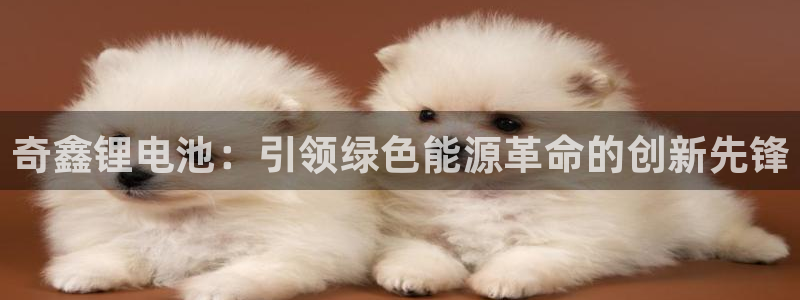 尊龙旗舰厅app：奇鑫锂电池：引领绿色能源革命的创新先锋