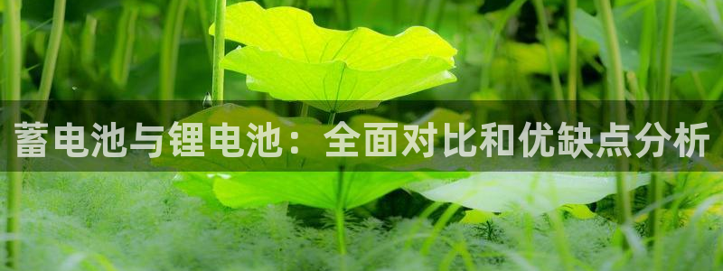 尊龙z6.con：蓄电池与锂电池：全面对比和优缺点分析