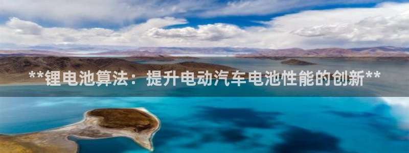 尊龙官网免费下载安装：**锂电池算法：提升电动汽车电池性能的创新**