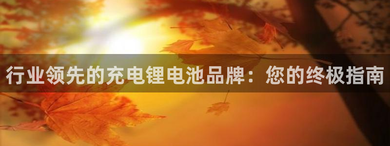 尊龙体育游戏平台