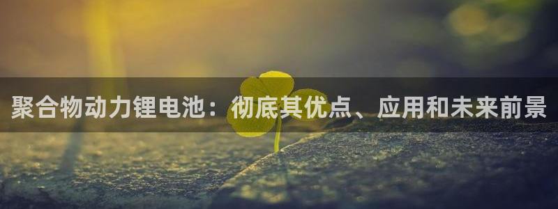 凯时a88：聚合物动力锂电池：彻底其优点