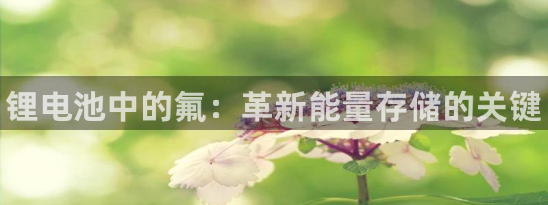 香港尊龙：锂电池中的氟：革新能量存储的关键