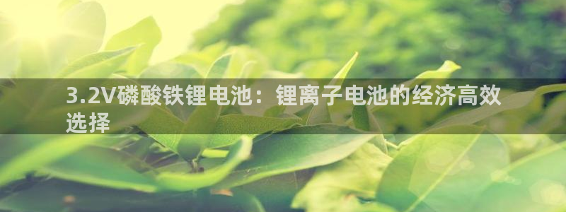 凯时平台登录：3.2V磷酸铁锂电池：锂离子电池的经济高效
选择