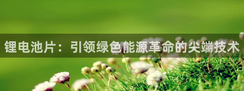 尊龙集团有限公司地址：锂电池片：引领绿色