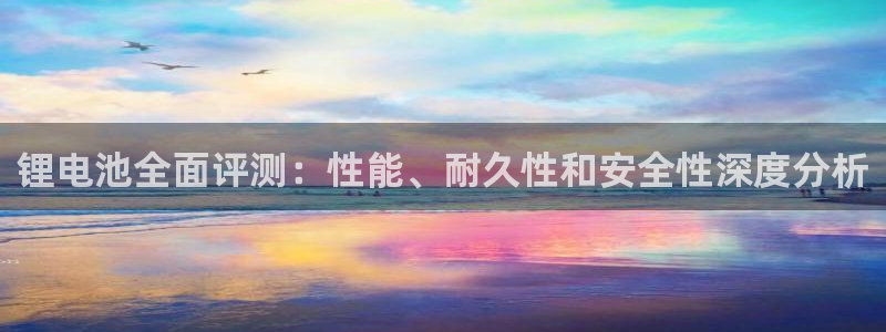 尊龙网址登录官网：锂电池全面评测：性能、耐久性和安全性深度分析
