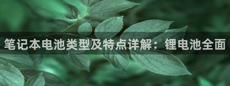 尊龙人生手机版：笔记本电池类型及特点详解：锂电池全面