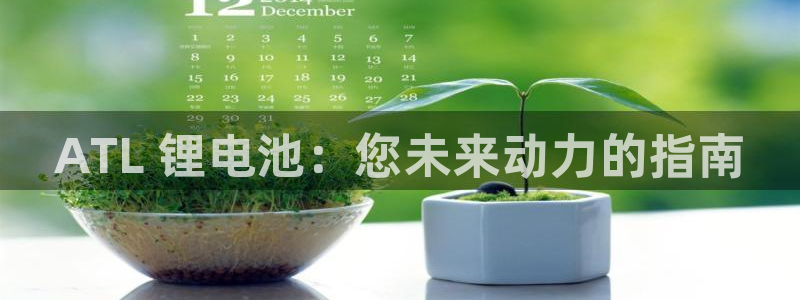 尊龙目前情况：ATL 锂电池：您未来动力的指南