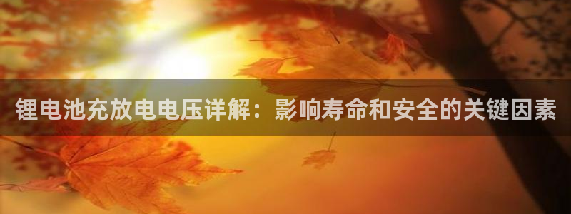 尊龙t300和t400哪个好：锂电池充放电电压详解：影响寿命和安全的关键因素