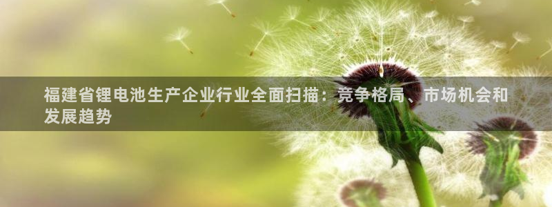 d88尊龙官方网：福建省锂电池生产企业行业全面扫描：竞争格局、市场机会和
发展趋势