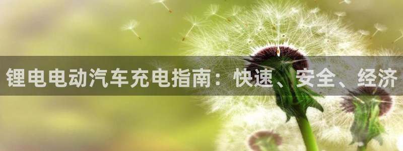 尊龙人生就是博一下首页：锂电电动汽车充电指南：快速、安全、经济