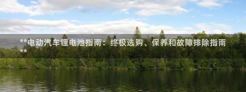 尊龙app官网登录：**电动汽车锂电池指南：终极选购、保养和故障排除指南
**