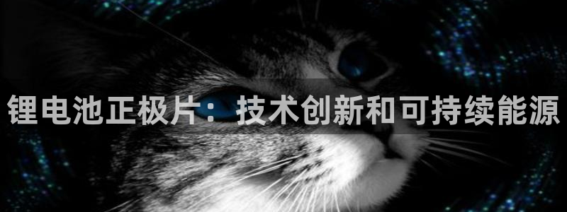凯时k66官方发布