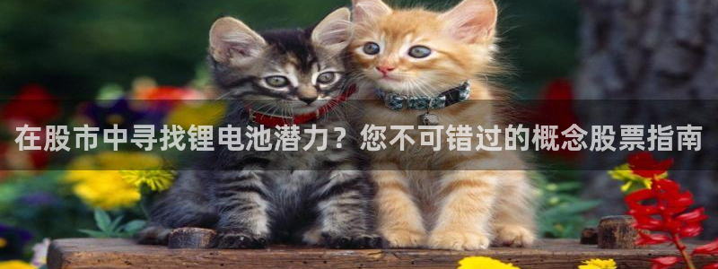 尊龙官网注册：在股市中寻找锂电池潜力？您不可错过的概念股票指南