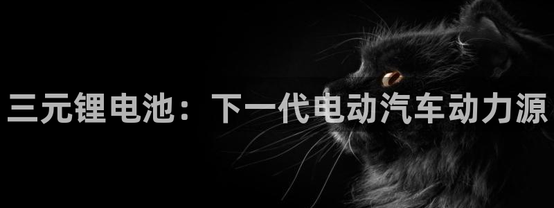 尊龙d88手机版下载：三元锂电池：下一代电动汽车动力源