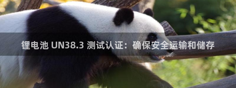 尊龙凯时链接：锂电池 UN38.3 测试认证：确保安全运输和储存