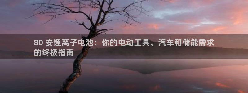 尊龙凯时是赌博嘛：80 安锂离子电池：你的电动工具、汽车和储能需求
的终极指南