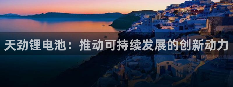 尊龙凯时平台官网