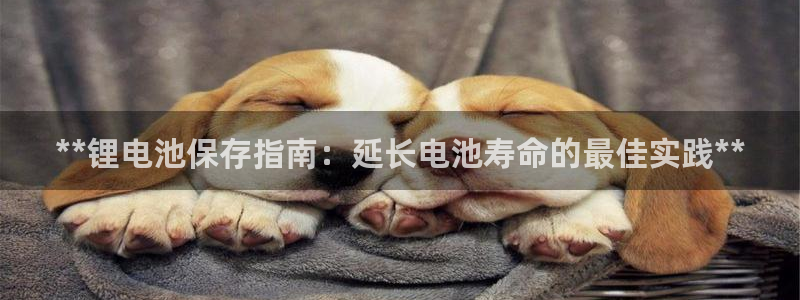 尊龙人生就是博下载：**锂电池保存指南：延长电池寿命的最佳实践**