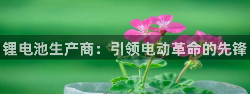 尊龙官方网站