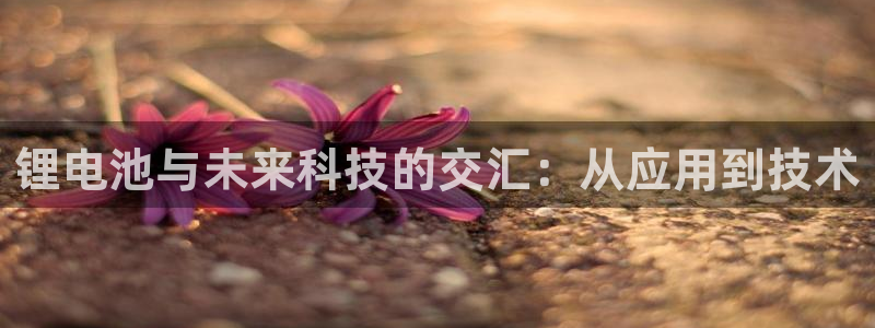 尊龙凯时平台还是万搏好