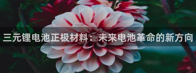 尊龙手机客户端下载APP