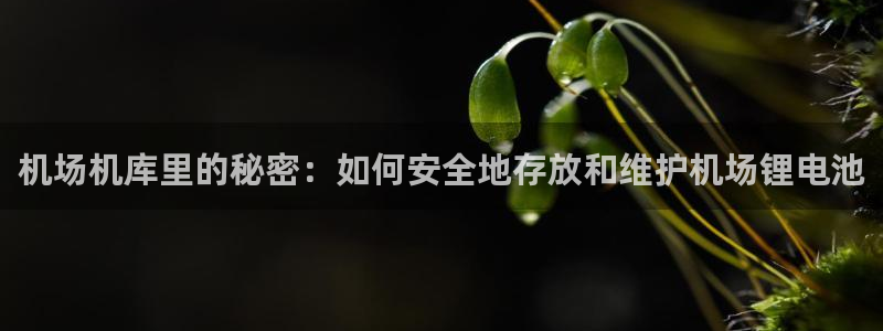 尊龙专访