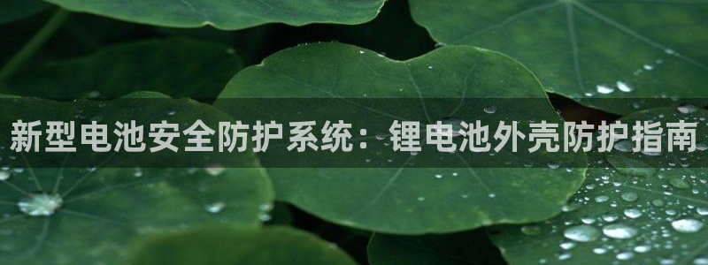 尊龙凯时公司官网